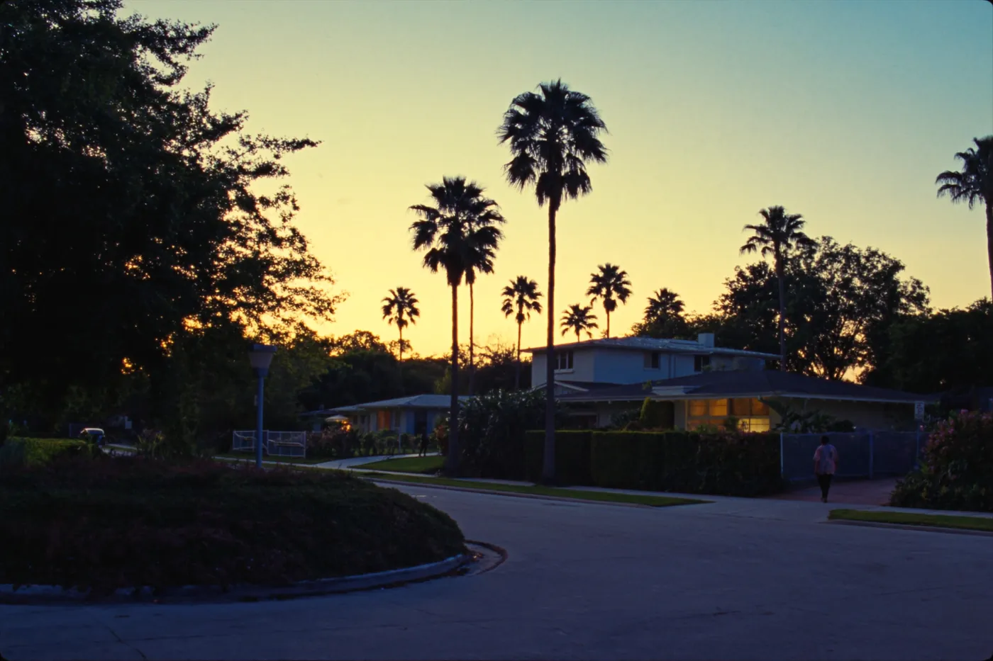 Tree-lined street of mid-century homes in North Miami, Florida at sunset